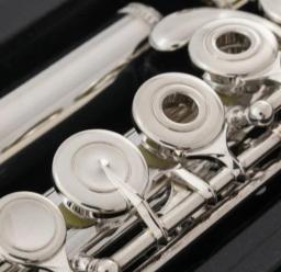 Profissional Sankyo CF201 FLUTE ETUDE E Key Split Banhado A Prata Flauta C tom 17 Buracos Abrir Flauta Música Instrumento - Image 3