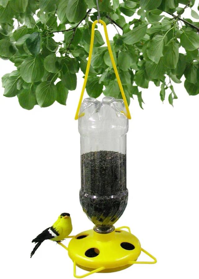 Alimentador de Pássaros de Plástico com Garrafa de Refrigerante e Sementes de Nyger para Atração de Aves
