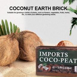 Solo de fibra de coco natural para réptil, Terrário para lagarto, Tartaruga, Terrário para réptil, Suprimentos Inferiores - Image 2