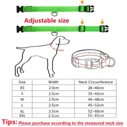 Coleira Luminosa USB Recarregável para Animais de Estimação, LED ajustável, Coleira de cão brilhante, Grande, Pequeno, Cat Night Light - Image 6