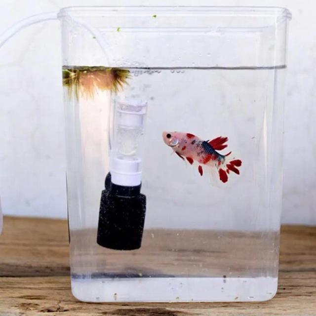 Filtro de Água Pneumático Mini Silencioso para Aquários e Bowls de Peixes - Acessórios Portáteis para Pet Shop