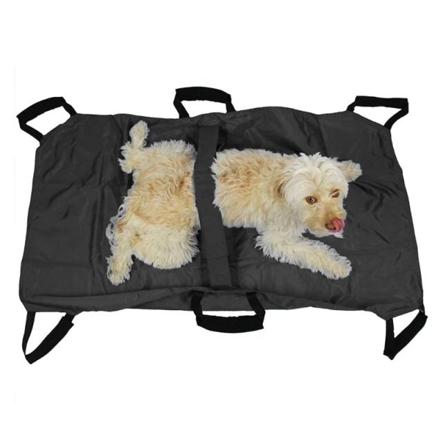 Cama Elevatória para Transporte de Animais de Estimação: Conforto e Segurança para Cães e Gatos