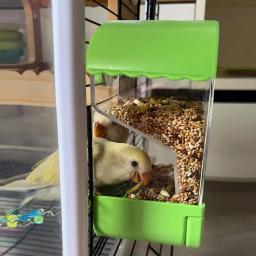 Alimentador automático do pássaro para a gaiola do papagaio, Suprimentos de alimentação do pássaro, Adequado para periquitos e pombos, Acessórios gaiola - Image 5