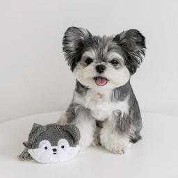 Dispensador de pelúcia com design adorável dos desenhos animados, bolsa para cães, porta-animais na moda, bijou fofo, pet de pelúcia - Image 3