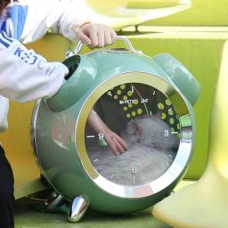 Grande capacidade pet carrier com temperatura e umidade lembrete, inteligente, portátil, confortável, ao ar livre - Image 5