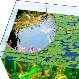 Cerca de plantas flutuantes para aquário, Mantenha o equilíbrio ambiental no aquário, Todas as plantas flutuantes e aquários - Image 6