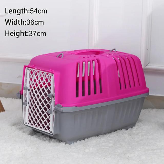 Caixa de Transporte Resistente para Pets: Ideal para Bichon Francês e Gatos em Aventuras ao Ar Livre