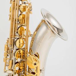 Banhado a Prata Saxofone Tenor Body, Instrumento Musical Profissional com Acessórios Case, Bb, Japão 875EX, Frete Grátis - Image 1