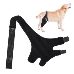 Dog Leg Brace Elbow Strap, ataduras no joelho, ataduras para cachorro, imobilizador articular, suporte de fixação de feridas, suprimentos médicos - Image 5