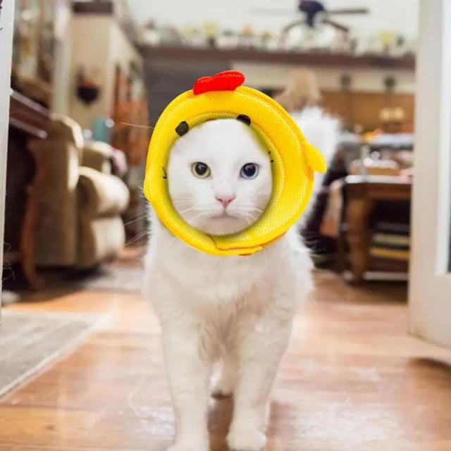 Colar Elizabeth para Pets: Anti-Mordida e Anti-Lamber para Gatos e Cães com Conforto em Algodão Macio
