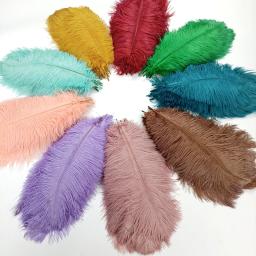 10 pçs/lote novas penas de avestruz coloridas decoração de penas brancas diy peças centrais de mesa vasos artesanato acessórios de carnaval decoração - Image 4