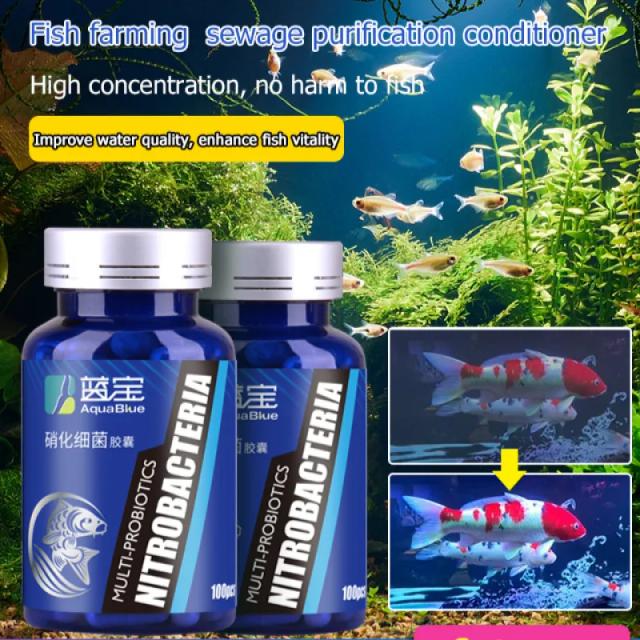 Purificador de Água para Aquários com Cápsulas de Nitrobacter Concentrado para Melhorar a Qualidade e Vida Aquática