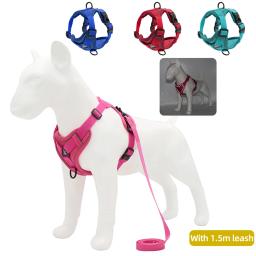 Conjunto de arnês e trela para cães de estimação, cães pequenos e médios, colete reflexivo ao ar livre de gatos, colete sólido ajustável para cachorros - Image 1