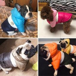 Colete de algodão impermeável para animais de estimação, roupas luxuosas para cães, casaco chihuahua, fantasia de cachorro, buldogue francês, quente, inverno - Image 5