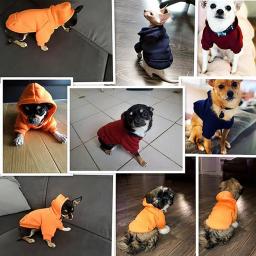Camisola com capuz com bolsos de duas pernas para pet, camisola para cachorro e gato, roupas para outono e inverno, Pet Shop - Image 5