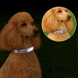 Coleira de couro personalizada para cães e gatos, Tag ID gravado personalizado, Coleira reflexiva para cachorro, cães grandes, acessórios para animais - Image 5