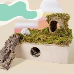 Natural Moss Mat Hamster Cage, Moss Terrace, Paisagismo Suprimentos, Pequenos Acessórios Pet, Tapete Multi-room - Image 2