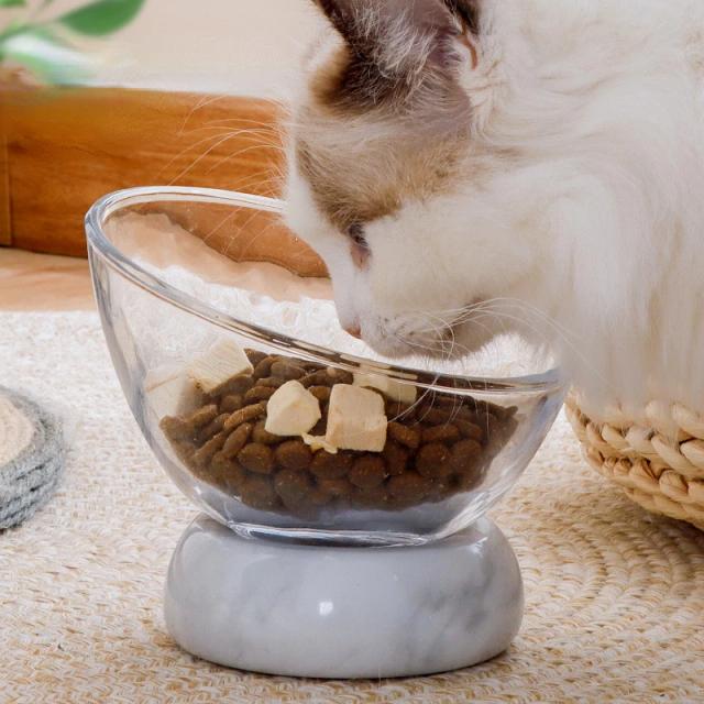 Tigelas Antiderrapantes com Suporte para Água e Comida de Cães e Gatos - Produtos Inovadores para Animais