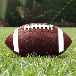 American Rugby League para homens e mulheres, futebol, futebol, tamanho padrão, esportes, crianças, 8.5 Polegada - Image 1