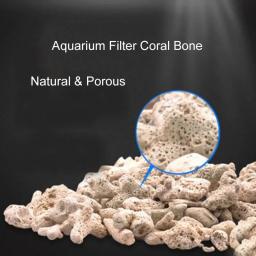 Filtro Biológico Natural Do Osso De Coral, Mídia De Aquário, Acessórios Do Tanque De Peixes, 100g, 250g, 500g - Image 6