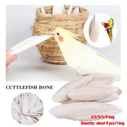 Suplementos naturais de cálcio para papagaio, Chew Osso Chew Brinquedos, Cockatiel Parrot Parrot - Image 1