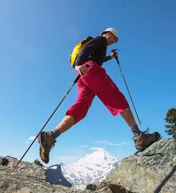 Naturehike-Ultraleve Foldable Trekking Pole, Carbon Fiber Walking Stick, 4 Seções, NH18D020-Z - Image 6