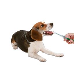 Medicina animal de estimação seringa alimentador tablet piller pistola push dispenser pet cão gato medicina água leite seringas cão gato acessórios - Image 3
