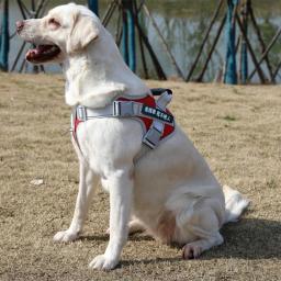 Arnês de Nylon Reflexivo para Cachorro Grande, alça no peito para buldogue francês e labrador, suprimentos para treinamento e caminhada ao ar livre, coleira para pet - Image 3