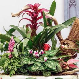 Estaca De Suporte De Planta, Rustproof, Resistente À Corrosão, Instalação Simples, Monstera Shaped, Pilha De Flores - Image 3