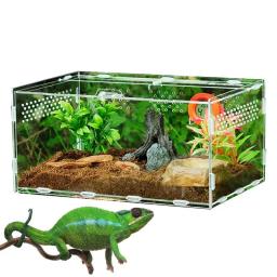 Terrário acrílico transparente para répteis, caixa de alimentação transparente para animais, répteis, insetos, aranha, lagarto, sapo, grilo, tartaruga - Image 1