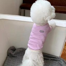 Roupa listrada verde para cães, colete de pelúcia, macio do que o urso, camiseta de cachorro pequeno, moda pet, verão - Image 5