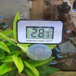 Termômetro eletrônico de aquário com sensor de temperatura, Alta precisão de ± 1 °C, Display LED à prova d'água, Termômetro para aquário - Image 1