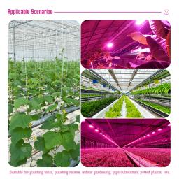 Full Spectrum LED Grow Light, Phyto Lâmpada para Plantas, 50W, 100W, AC 220V, LED Grow Lamp, Iluminação de Crescimento - Image 6