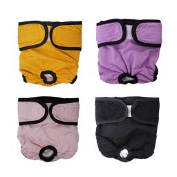 Fraldas laváveis reutilizáveis para cães femininos, Calcinha sanitária para cães pequenos, médios e grandes, Doggie Menstrual e Incontinência, Segurança - Image 1