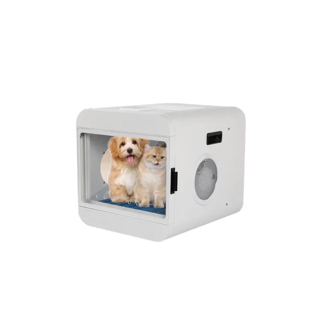 Secador Automático de Pelos para Gatos e Cães Pequenos - Inovação 2023 com Tecnologia Silenciosa e Eficiente de Secagem