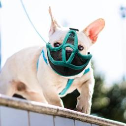 Ajustável malha respirável focinhos para Pet, máscara anti-latido, suprimentos anti-latido, focinho boca máscara, buldogue francês e Pug, focinho curto - Image 1