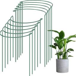 Estacas de suporte de plantas, metade do metal redondo, gaiola e suporte de jardim, suporte de plantas verdes, borda do anel para flor, interior, 6pcs - Image 1
