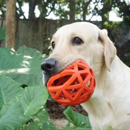 Bola de borracha para cães, brinquedo geométrico para cães pequenos, médios e grandes, material de treino para animais - Image 2