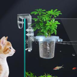 Cesta De Plantio De Tanques De Peixes, Suporte Hidropônico, Copa De Grama De Água, Suporte De Plantas Aquáticas, Vasos De Flores Pendurados Na Parede, Acessórios De Aquário - Image 4