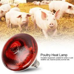 220v lâmpada de aquecimento aves réptil planta anfíbio 100/150/200/275w lâmpada de aquecimento pet gado isolamento infravermelho aquecimento - Image 2