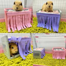 Suave confortável Hide House Bed Tassel porta cortina, lavável pequenos animais, gaiola de hamster, acessórios para cobaia, Pet Supplies - Image 3