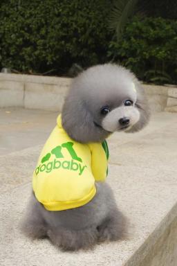 Roupas esportivas com capuz para animais, capuz com duas pernas, cachorro e gato pequenos, pelúcia vip, outono e inverno, 1 pc - Image 4
