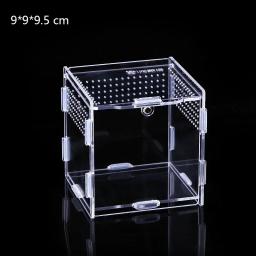 Terrário acrílico transparente para répteis, Caixa de reprodução acrílica, Nano Cage, Tarântula arbórea, Dragão barbado - Image 6