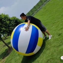 Bola de praia inflável gigante, bola de brinquedo de PVC, vôlei de gramado ao ar livre, jardim de infância escolar divertido, balão novo, 2m-0,6 m - Image 2