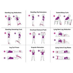Conjunto de elásticos de resistência para fitness, treinamento de força, expansor, yoga, ginásio equipamentos - Image 5