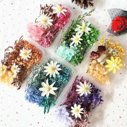 Pacote de Material Artificial Flor Seca, Materiais Florais DIY, Flor Eterna, Artesanato, Decoração De Festa De Casamento, Curso De Arte Flor - Image 3