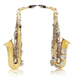 SLADE Eb Alto Saxofone Latão Profissional Saxofone Instrumento Musical Alto Sax com Palhetas Correias Almofada de Dentes Escova Acessórios - Image 3