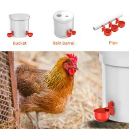 Alimentador De Água De Frango Com Enchimento Automático, Tigela De Beber De Aves, Patos De Pintainho Aves e Perus, Copos Grandes, 12PCs - Image 4