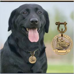 Animais de estimação gravados ID Tag, Bronze Nameplate, Tags personalizadas, Número do endereço, Dogs Collar Pendant, VIP personalizado gravado, Cão e gato - Image 3