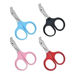 Profissional Cat Nail Scissors, Pet Dog Nail Clippers, Toe Garra Trimmer, Pet Grooming Suprimentos, Pequenos Produtos, Gadgets Do Cão - Image 5
